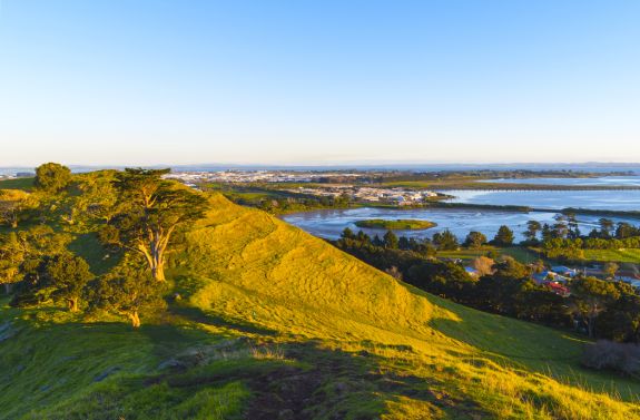 Stay in Mangere
