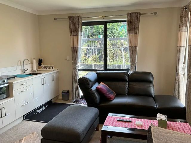 Pukekohe Property - living area and kitchen