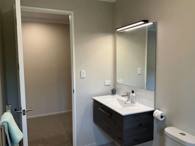 Pukekohe Property - bathroom